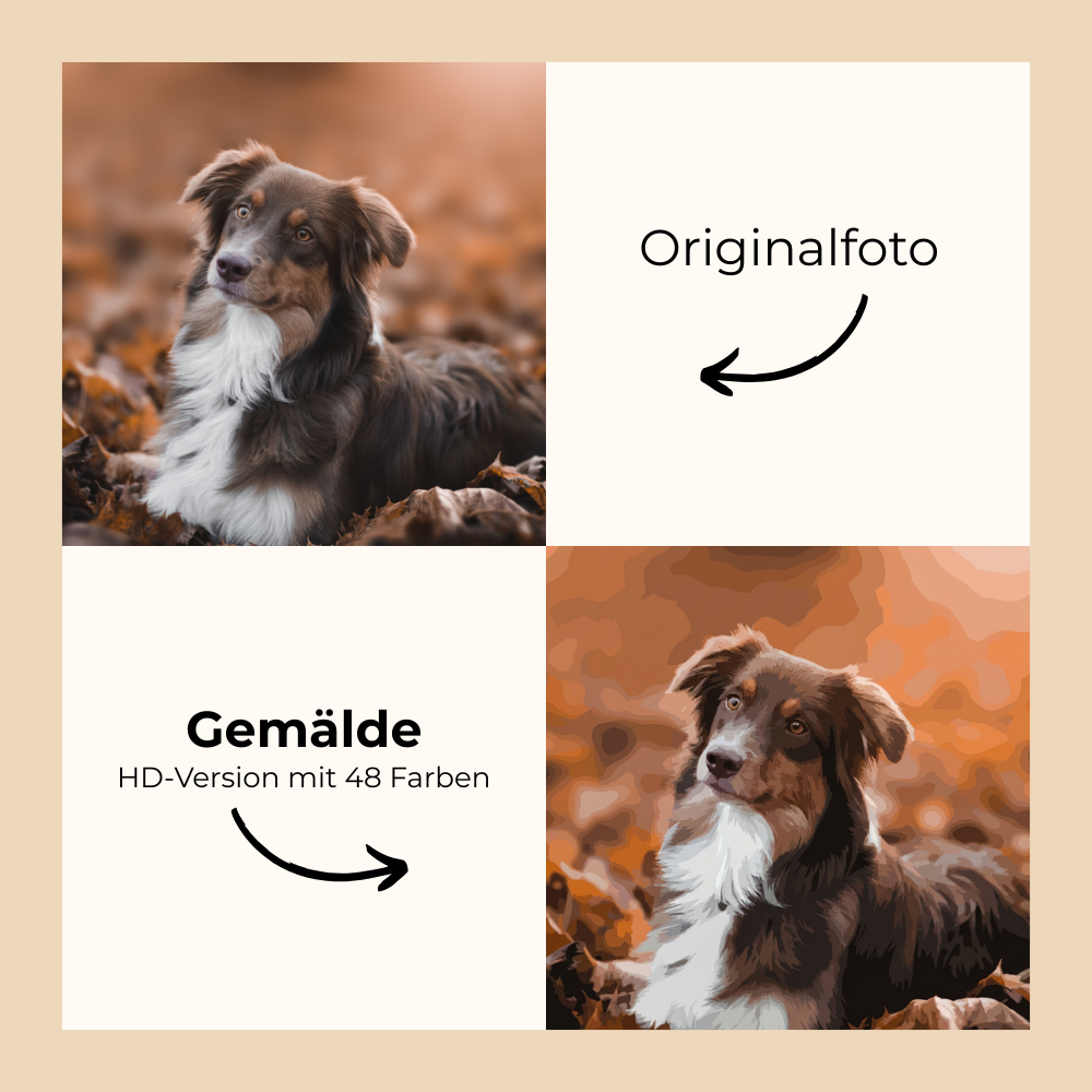 Koloria™ – Realistisches Malen nach Zahlen