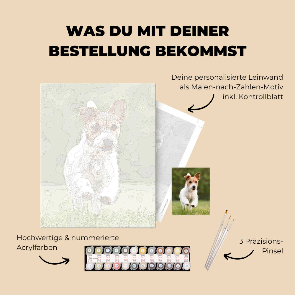 Koloria™ – Realistisches Malen nach Zahlen